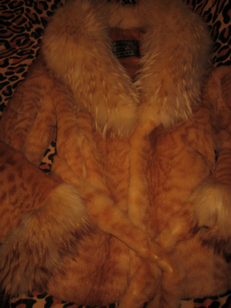Продам: женская шуба-камышовый кот