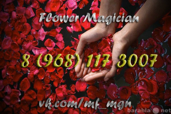 Продам: Flower Magician(Говорящие,разноцветные)