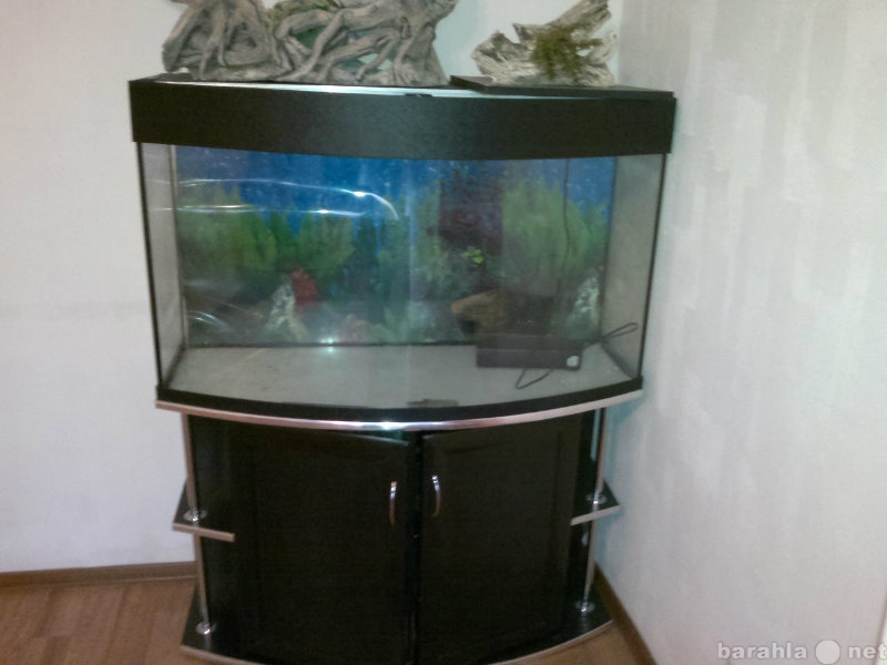 Продам: Продам большой аквариум