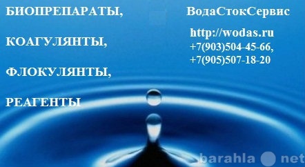 Продам: Биопрепараты для ресторанов, Биопрепарат