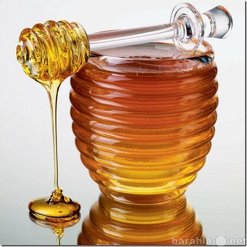 Продам: Кубанский мед