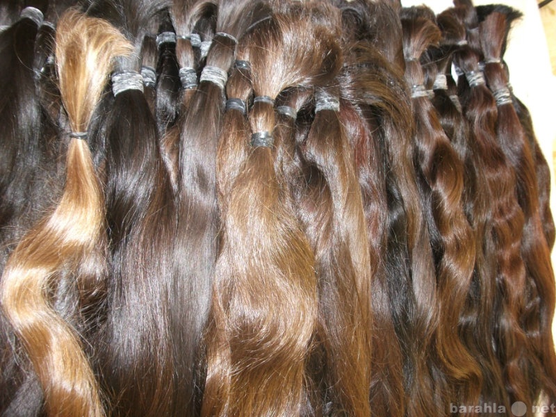 Продам: Натуральный Славянский волос оптом