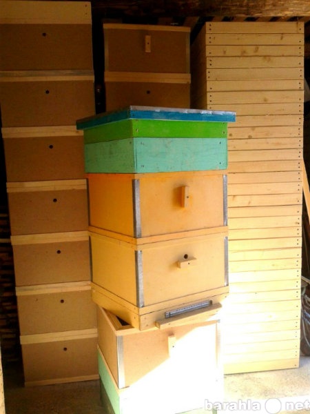 Продам: 2-х корпусные улья, пчелосемьи