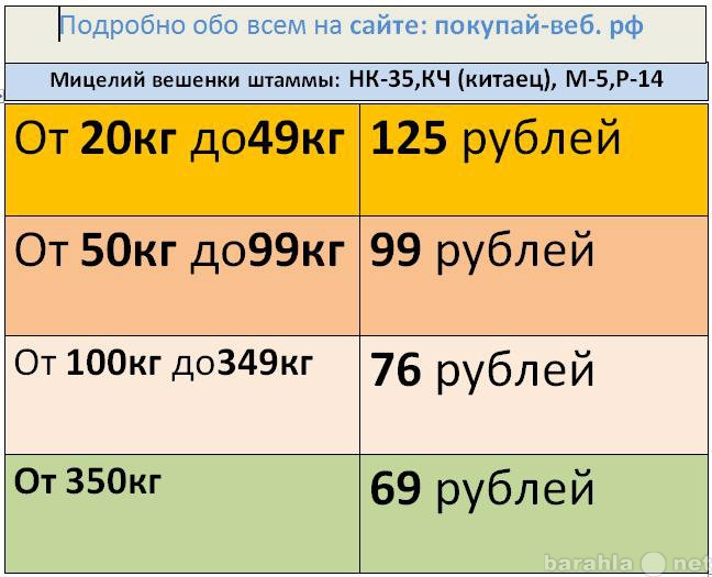 Продам: Мицелий(семена) зерновой грибов вешенка