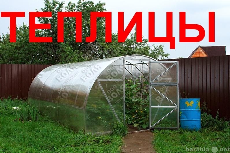 Продам: ТЕПЛИЦЫ