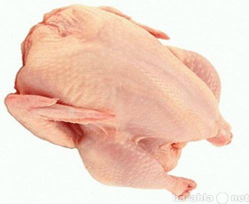 Продам: Цыплёнк ТУ, куриная разделка