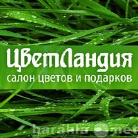 Продам: Доставка цветов - Букет роз с доставкой