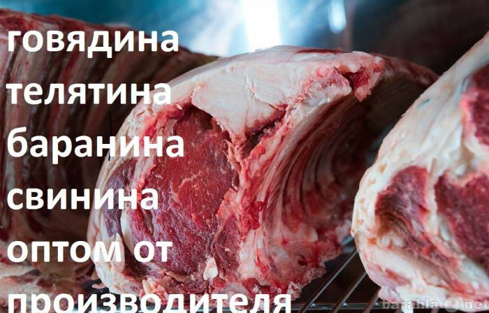 Продам: Реализуем мясо говядины