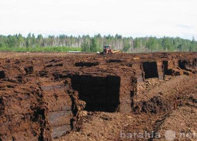 Продам: Торф оптом и в розницу