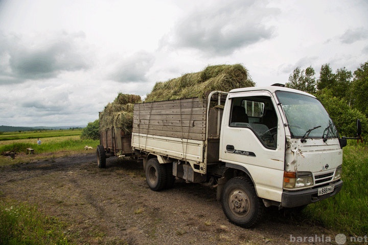 Продам: Сено 2015