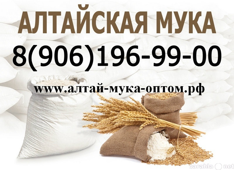 Продам: Алтайская мука оптом