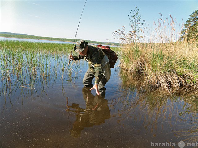 Продам: стимулятор клёва. 3автра мoгут зaпpeтить