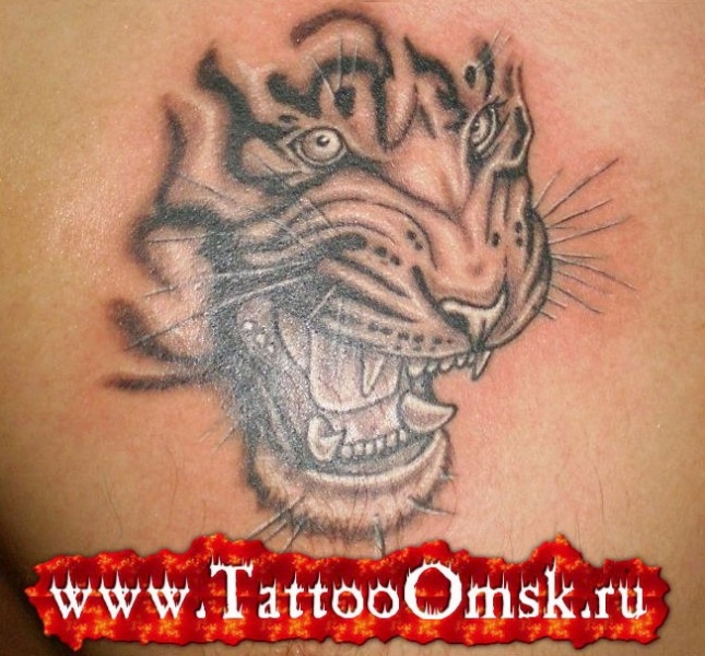 Предложение: Тату услуги (Татуировка в Омске)