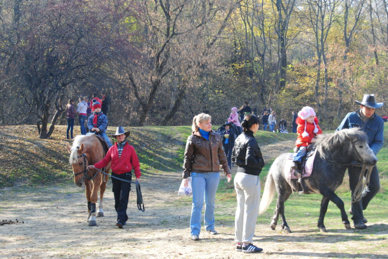 Предложение: катание на лошадях в Ростове-на-Дону