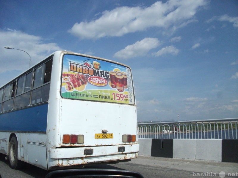 Предложение: реклама на задних стеклах автобусов