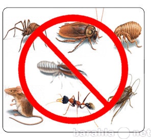Предложение: Уничтожение насекомых и грызунов