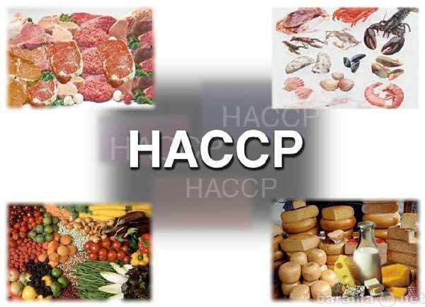 Предложение: Безопасность пищевой продукции, ХАССП