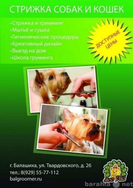 Предложение: Подстричь собаку и кошку в Балашихе