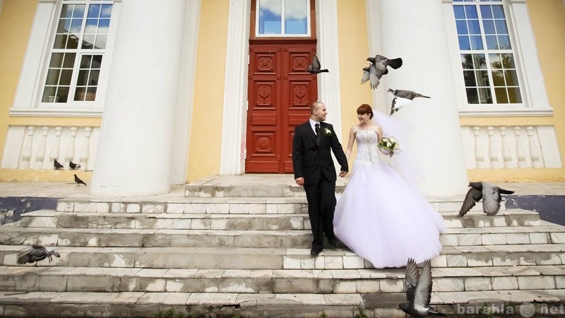 Предложение: Свадебный фотограф Омск