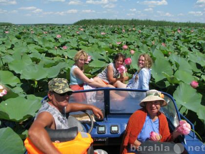 Предложение: Программа на лотосные поля 1400 руб./чел