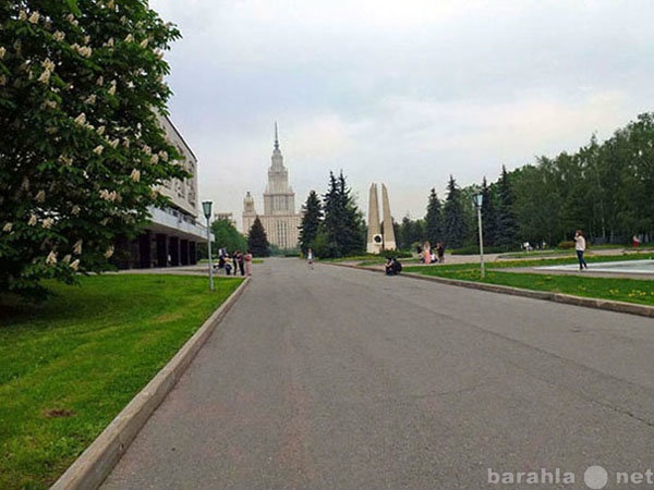 Предложение: Деловой и разговорный английский