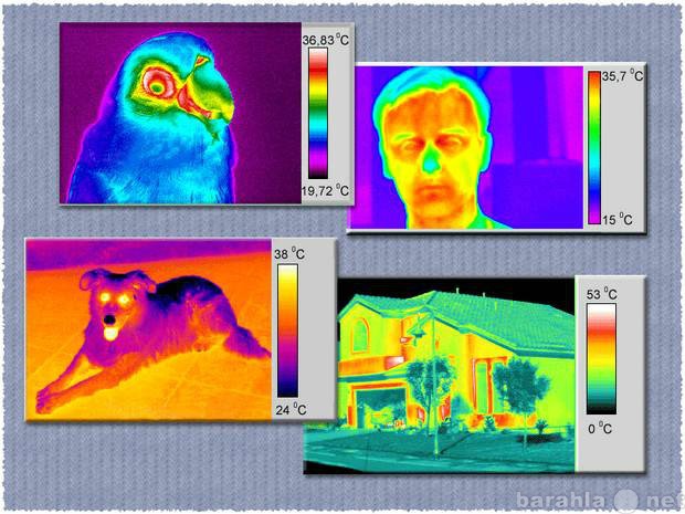 Предложение: Тепловизионное обследование зданий
