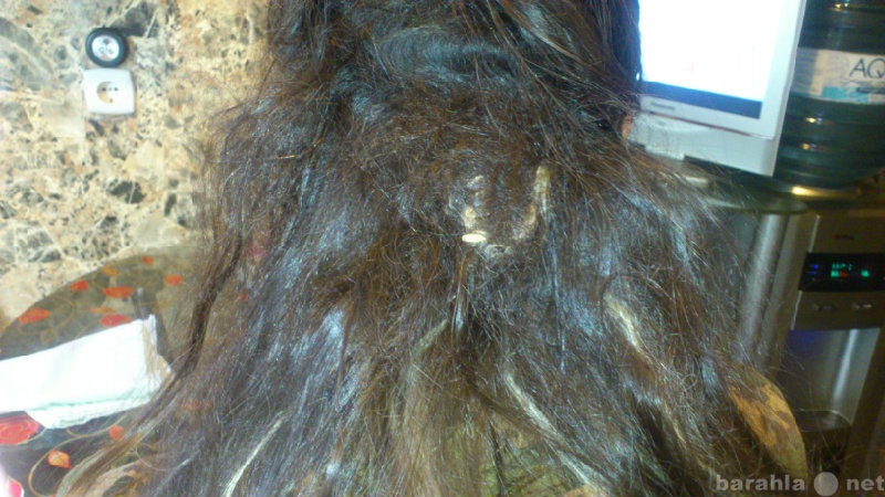 Колтуны на нарощенных волосах фото