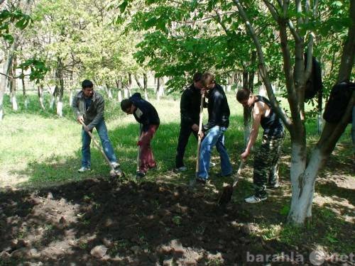 Предложение: В поиске работы бригада русские