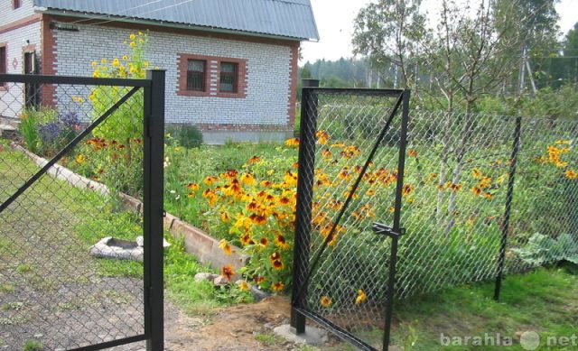 Предложение: ЗАБОР ИЗ СЕТКИ РАБИЦА.