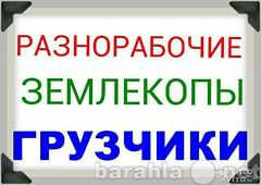 Предложение: Земельные работы, уборка территорий.