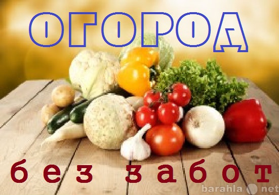 Предложение: Огород - без забот.