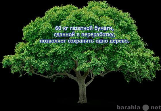 Предложение: Прием макулатуры , полиэтилена, пэт-буты