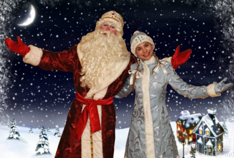 Предложение: Дед Мороз и Снегурочка (Виталий и Ольга)