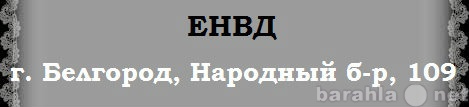 Предложение: Декларации ЕНВД