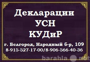 Предложение: Декларации УСН,КУДиР