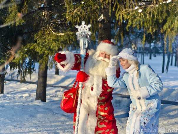 Предложение: Дед Мороз и Снегурочка (вызов на дом)