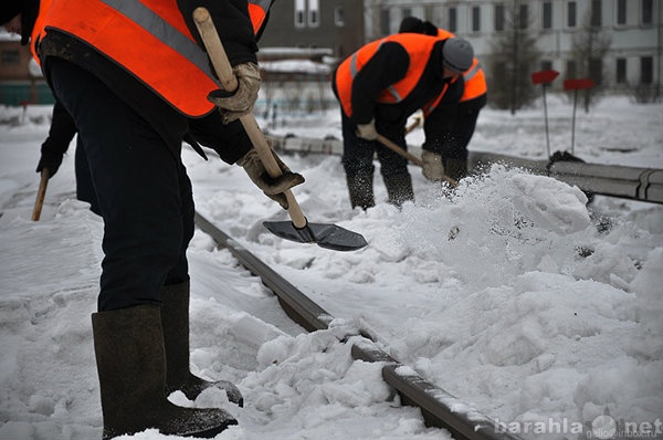 Предложение: Услуги Грузчики Разнорабочих