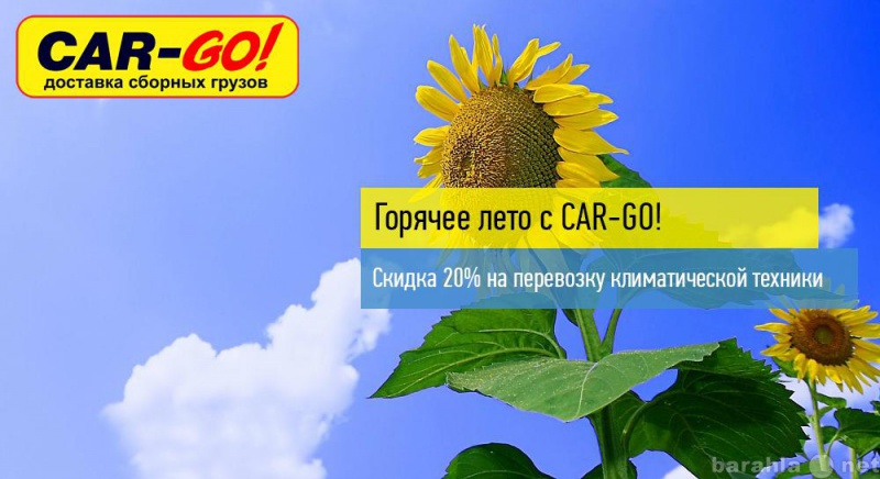 Предложение: Транспортная компания CAR-GO!