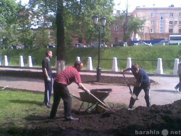 Предложение: Разнорабочие. Траншеи. Ямы.