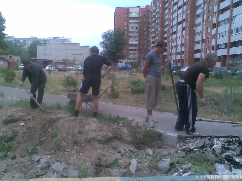 Предложение: Квалифицированные разнорабочие.