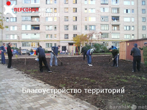 Предложение: Благоустройство территорий