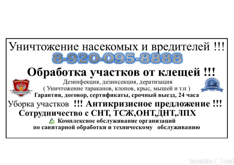 Предложение: Служба санитарной обработки и дезинфекци