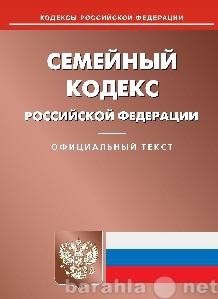 Предложение: Консультация по семейному праву