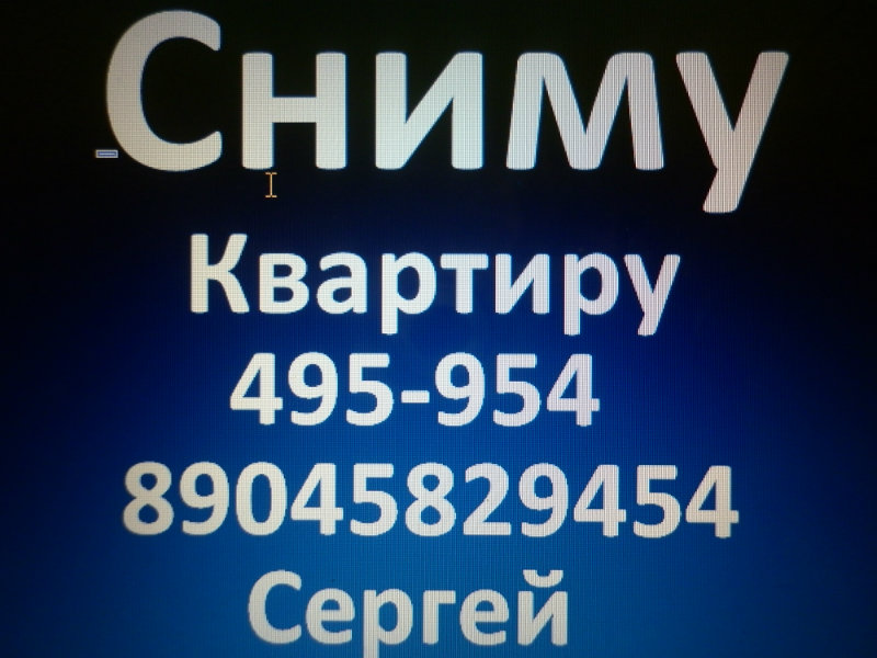 Сниму: квартиру