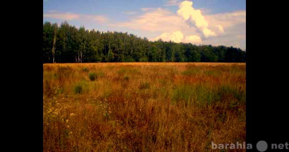 Продам: земельный участок