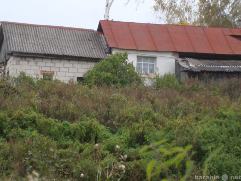 Продам: дом в деревне