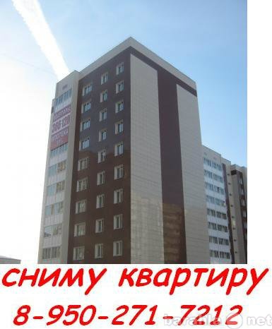 Сниму: квартиру