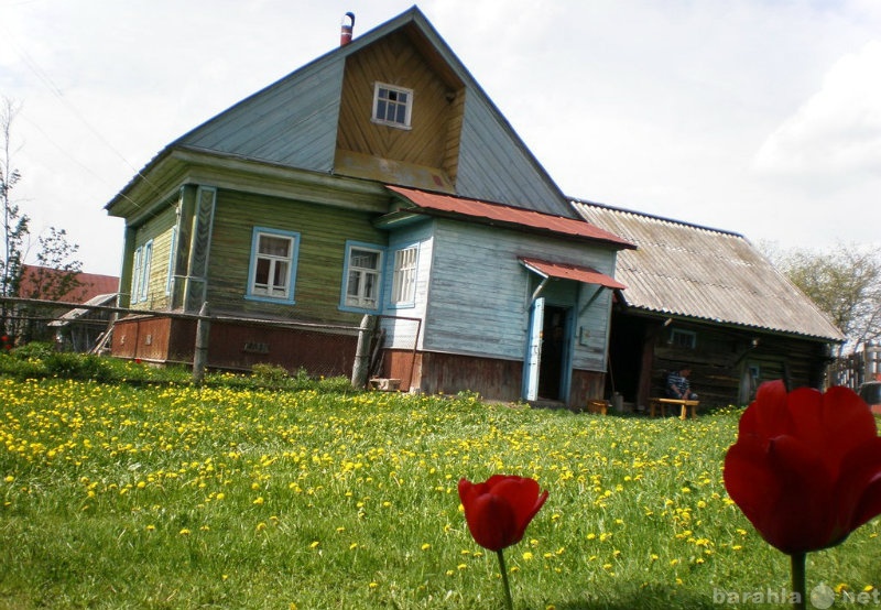 Продам: дом в деревне