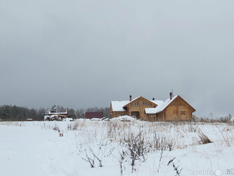 Погода в тростье