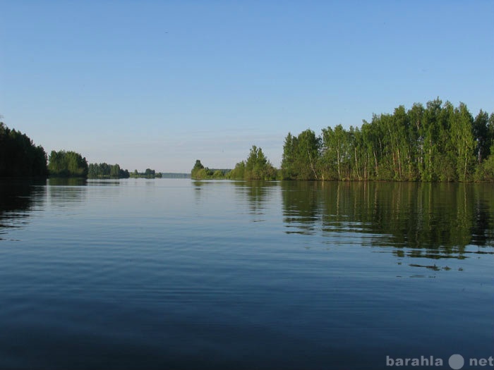 Сдам посуточно: дом